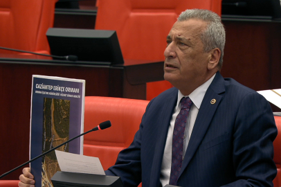 Erikçe ormanına kaçak yapıya Öztürkmen’den tepki