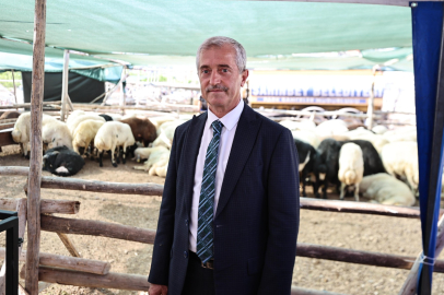 BAŞKAN TAHMAZOĞLU KURBAN FİYATLARINI AÇIKLADI