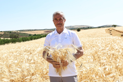 Başkan Tahmazoğlu Çiftçinin Hasat Sevincine Ortak Oldu