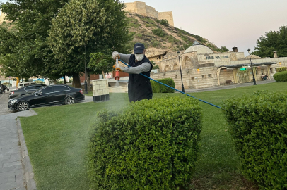BÜYÜKŞEHİR'DEN HAŞERELERE KARŞI İLAÇLAMA