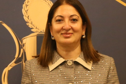 ARIKAN; ELEKTRİK ALTYAPISI YATIRIMINDA KRİTER NEDİR?
