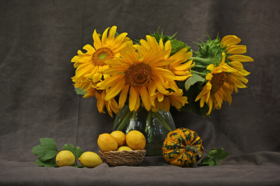 SANKO'DA RESİM ÖĞRETMENLERİNDEN FOTOĞRAF SERGİSİ