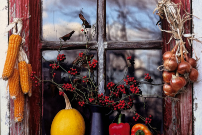 SANKO SANAT GALERİSİNDE FOTOĞRAF SERGİSİ AÇILDI