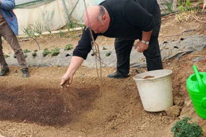Bilecik Pazaryeri’nde tütün geçim kapısı oluyor