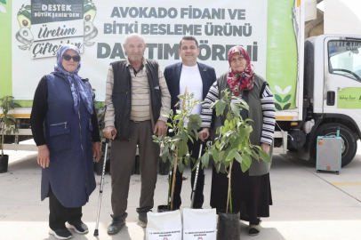Mersin'de Anamurlu üreticilerin yüzü gülüyor