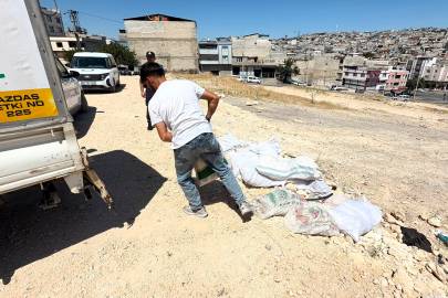 VATANDAŞ FOTOĞRAFLADI, ŞAHİNBEY ZABITA EKİPLERİ YAKALADI