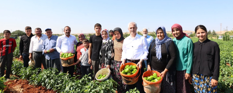 ŞAHİNBEY’DEN ÇİFTÇİLERE FİDE DESTEĞİ