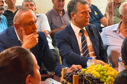 Meriç; Dalında Üzüm, Hesapta Zarar